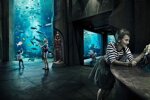 biglietti-per-aquaventure-waterpark-e-lost-chambers-aquarium
