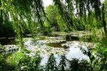 escursione-a-giverny-e-alla-casa-di-monet