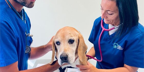 223006a7-1275-4b98-9328-b3f1af8b442c