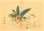 kansai-mori-giappone-18141894-gatto-che-gioca-con-una-nespola