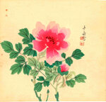 araki-jippo-giappone-18721944-peonia