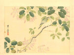 yusho-nakajima-giappone-18371905-uccellino-su-un-ramo