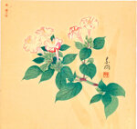 yuki-somei-giappone-18751957-ramo-fiorito