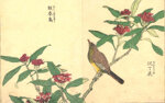 kitao-shigemasa-giappone-1739-1820-kacho-e
