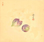 yamamura-toyonari-giappone-18851942-due-fichi