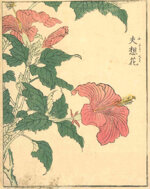 kitao-shigemasa-giappone-1739-1820-ibisco
