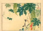 kono-bairei-giappone-1844-1895-uccellino-su-pianta-di-melone-amaro