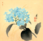 taizan-giappone-1854-ortensia