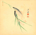 araki-jippo-giappone-18721944-pesci