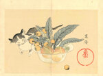 kansai-mori-giappone-18141894-gatto-dietro-a-una-fruttiera