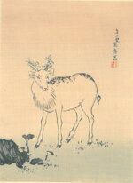 mori-kansai-giappone-1814-1894-cervo-bianco