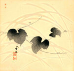 taizan-giappone-1854-rampicante