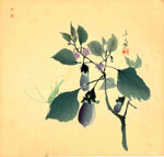 araki-jippo-giappone-18721944-cavalletta-su-pianta-di-melanzane