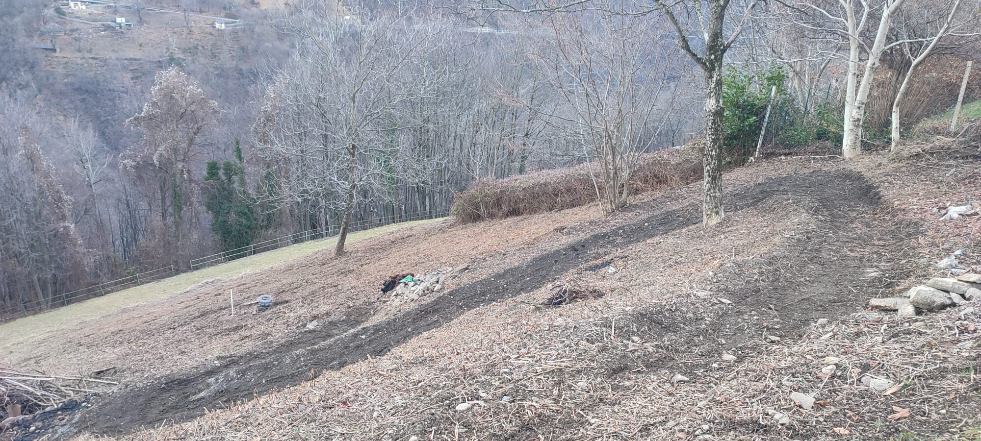 Il Progetto Barcott/Capin...