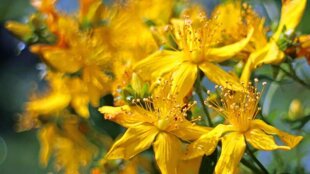 d7a1e2fd-f5c5-4996-a86c-3e742e14a7cb d7a1e2fd-f5c5-4996-a86c-3e742e14a7cb