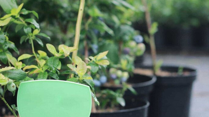 ac12408e-9273-4ab0-9792-4dcbb93729c2