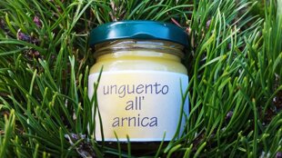 ff469122-8248-4273-9d19-cd6b7060c431 ff469122-8248-4273-9d19-cd6b7060c431