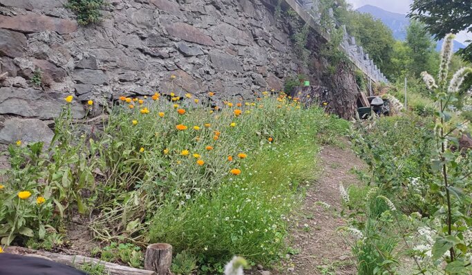 8334ad76-1aa4-4c91-afce-95740dd72c8f