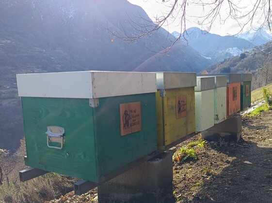 dc3526d7-b0cb-4360-aa35-fd151eeba13c