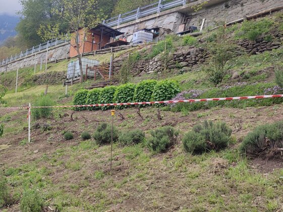 48ecaccb-f370-4f56-9ecc-d58562f89421 48ecaccb-f370-4f56-9ecc-d58562f89421