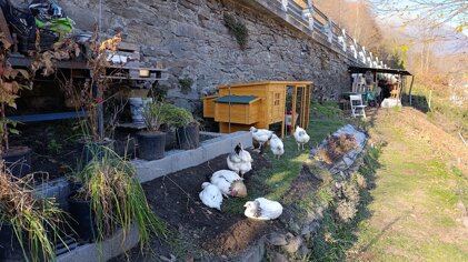 9c28bffd-de1b-44b5-971c-894e01dad091 9c28bffd-de1b-44b5-971c-894e01dad091