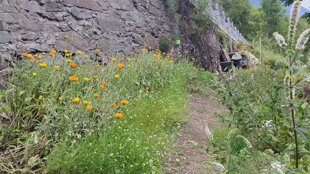 f8e031d0-5eb2-416d-8e67-d6402ea921c9 f8e031d0-5eb2-416d-8e67-d6402ea921c9