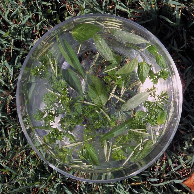 Green Essence Green Essence