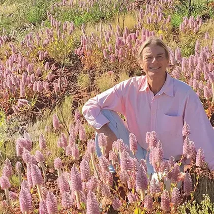 2d79a641-ae69-4551-beb2-fc53af6a1ad2