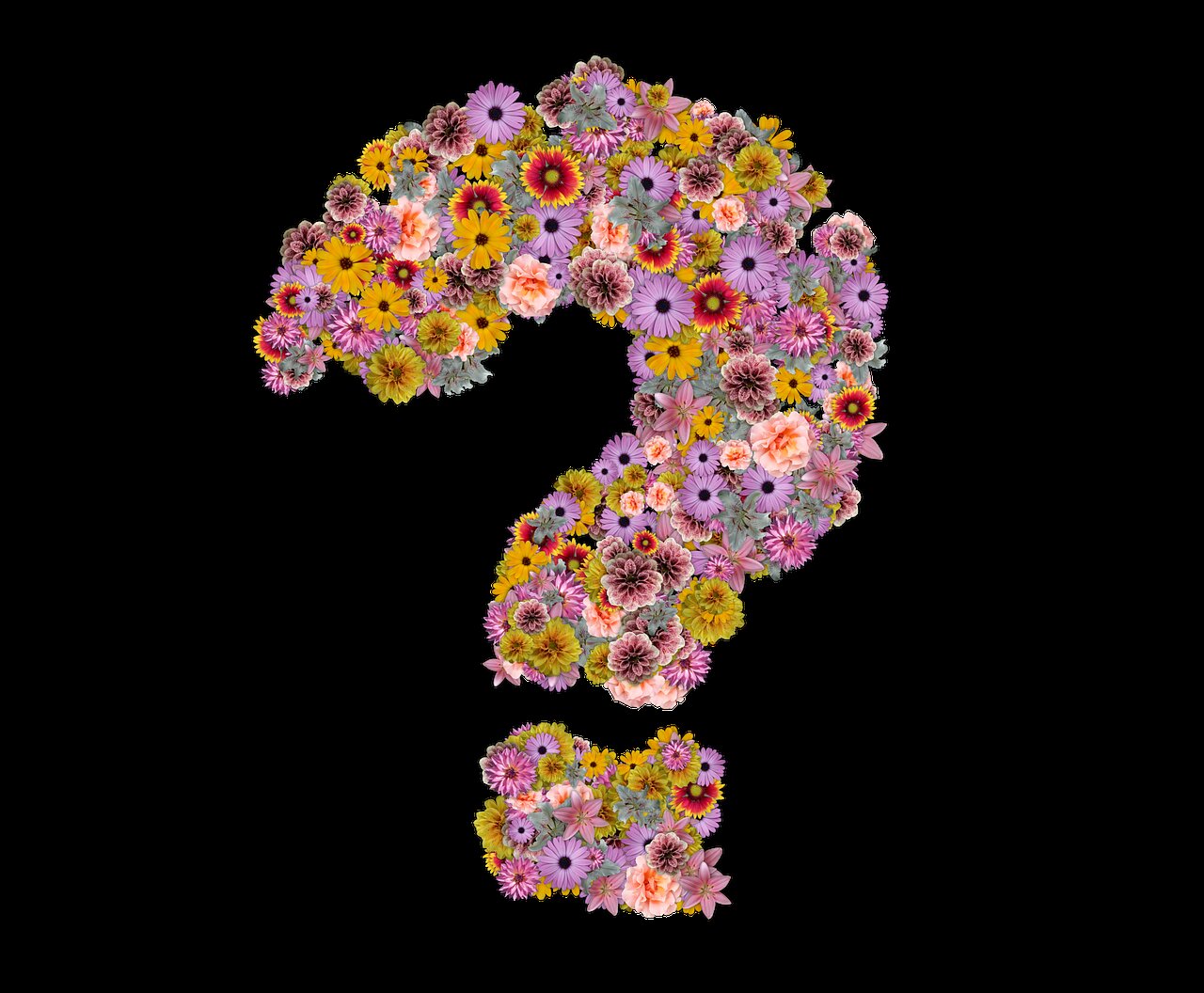 Emozioni e Fiori di Bach Fiori colorati compongono un punto interrogativo, correlazione fra fiori e emozioni, foto.