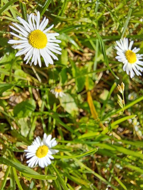 9d6fd1ca-567b-4dfc-b705-1604ef8b575e