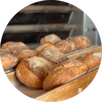 602297bf-bc36-41fb-b9f5-43092cc23e68