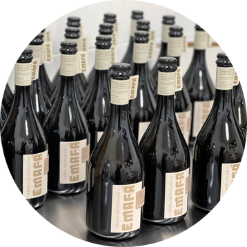 d146e318-47df-46bd-99d8-21e68efdbfd3