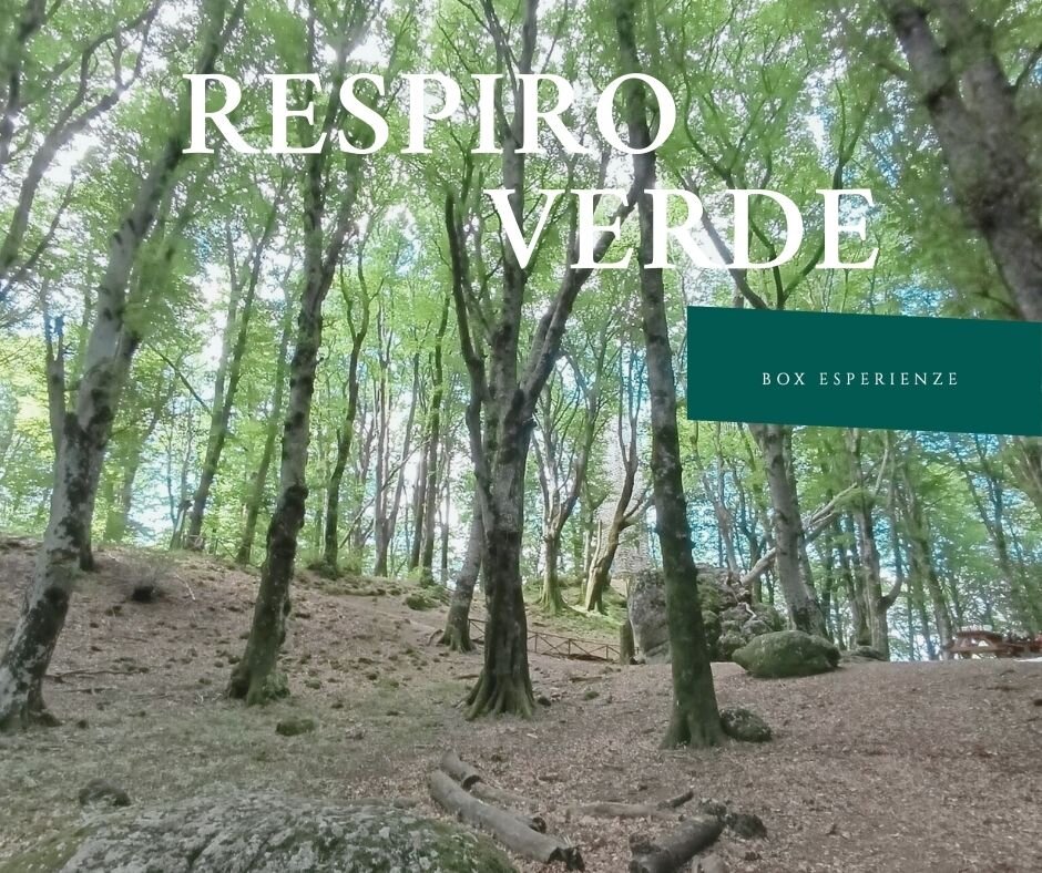 RESPIRO VERDE