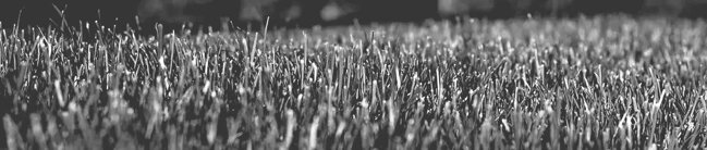 e073c4e0-2c53-4936-a088-324625ed6398 e073c4e0-2c53-4936-a088-324625ed6398