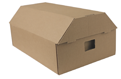 a4694ae3-e2c1-4ca4-a85b-64437e106176