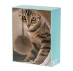 urna-pet-serie-vicino
