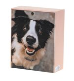 urna-pet-serie-vicino
