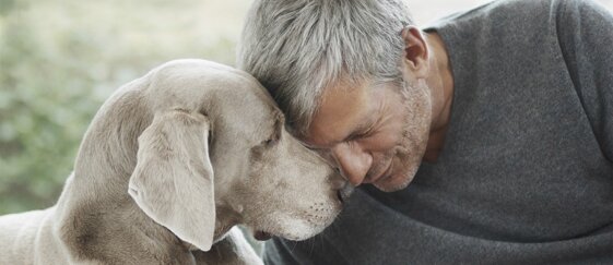 dede8e3e-69b4-4ac0-89a0-31e0d4d49d4e dede8e3e-69b4-4ac0-89a0-31e0d4d49d4e