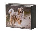 urna-pet-serie-vicino