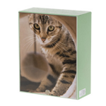 urna-pet-serie-vicino