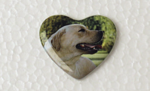 urna-pet-mod-dogandcat