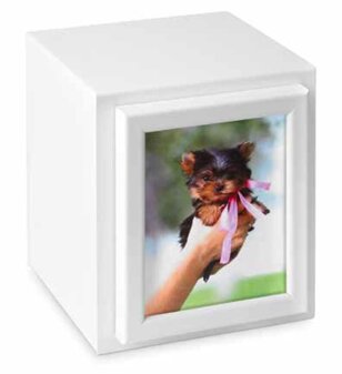 b50f75cc-2b6c-40b2-bc78-732c491fb3ab b50f75cc-2b6c-40b2-bc78-732c491fb3ab