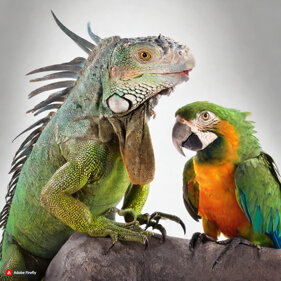 78d610c7-80e0-4aae-9886-c3651182c9ea