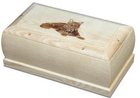 311c7f86-d6b4-49a0-81fe-852f2295757e 311c7f86-d6b4-49a0-81fe-852f2295757e