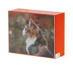 urna-pet-serie-vicino