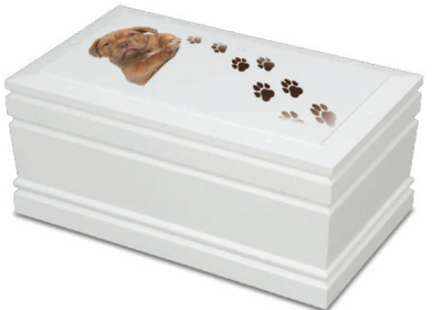 b78bce1a-be96-41c4-aef4-1bd569840c3c