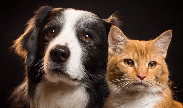 eb2bf522-78d1-47bc-964d-8796e22381ea