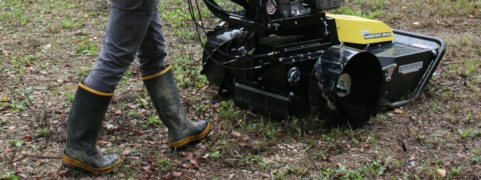 805aad9e-e4fd-4d9a-bade-a6c81550478d