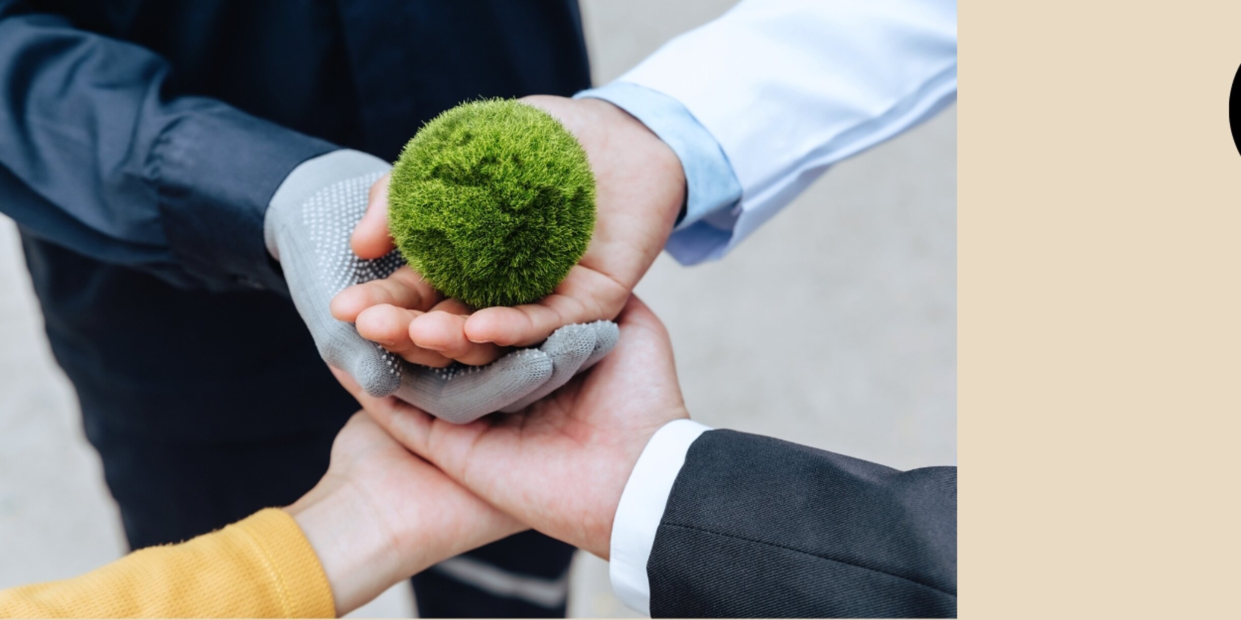 4ace12c8-1d2d-4571-afc3-47fce5443b71