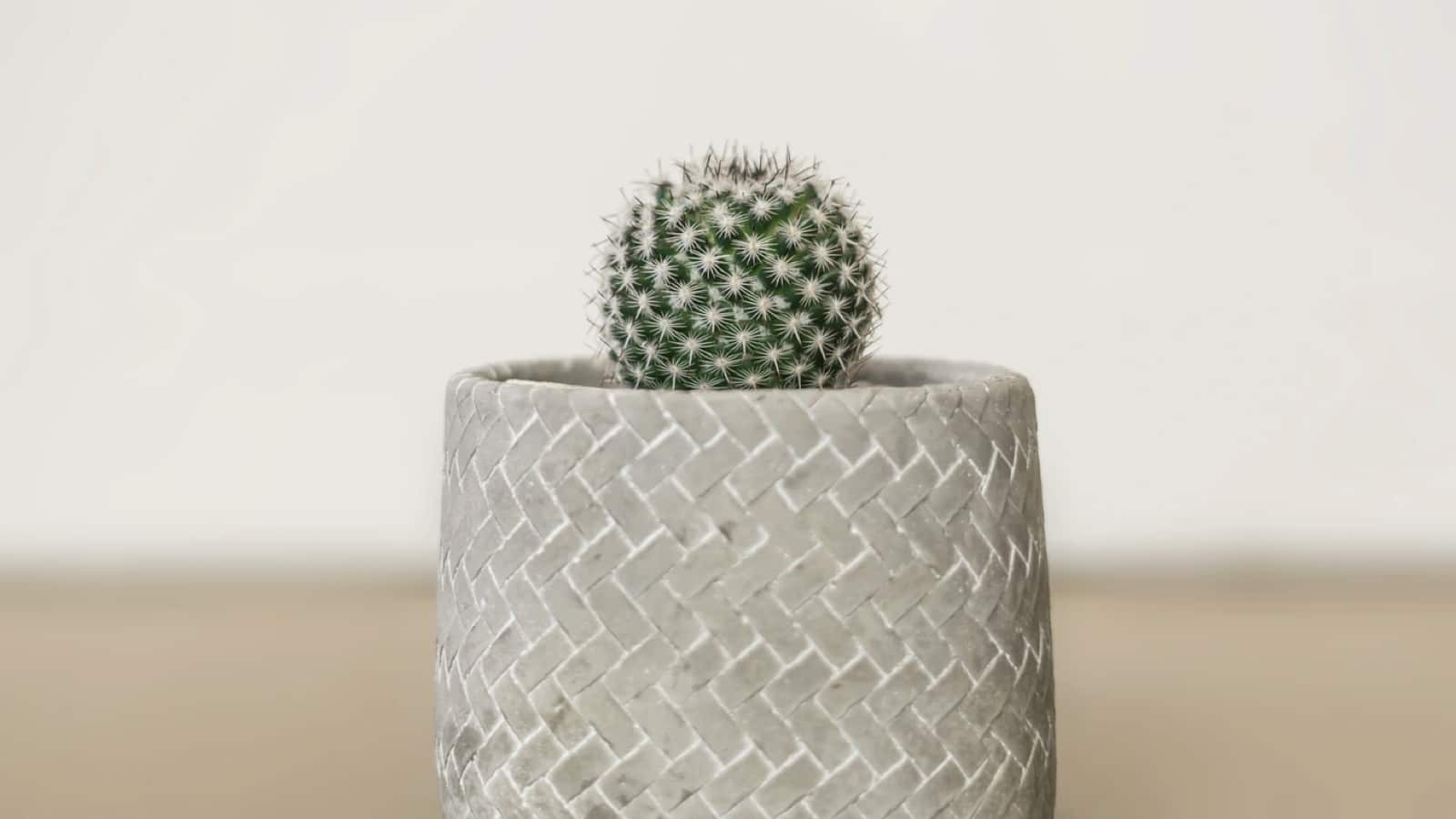 homestore-image-2